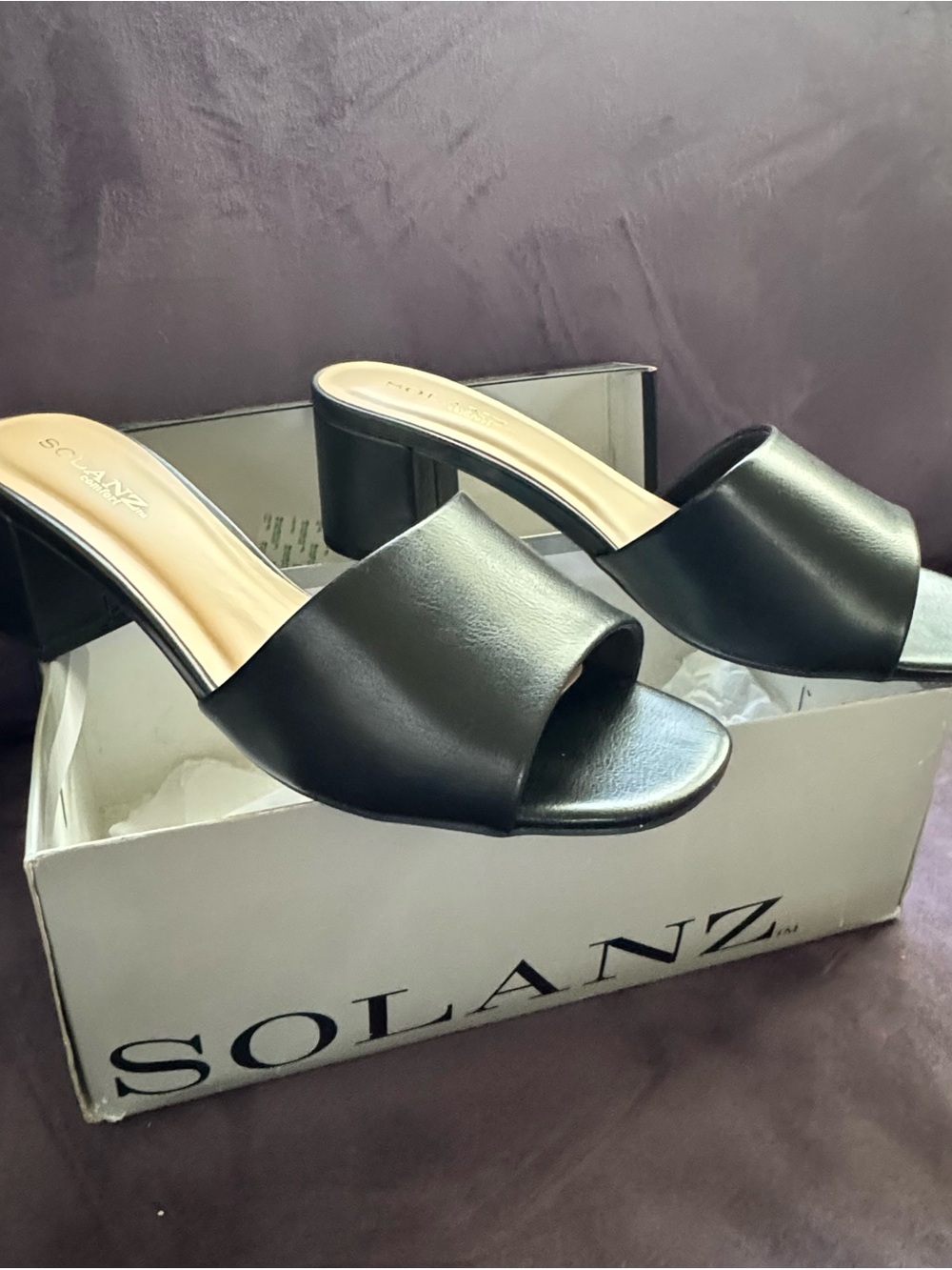 SOLANZ Women's Black Open-Toe Block Heel Mules